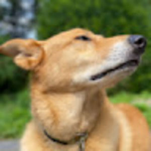 Meet your Posher, Giuliana